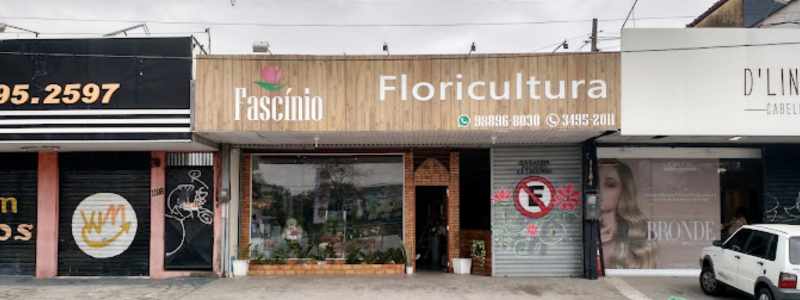 Fascínio Cestas Flores e Presentes