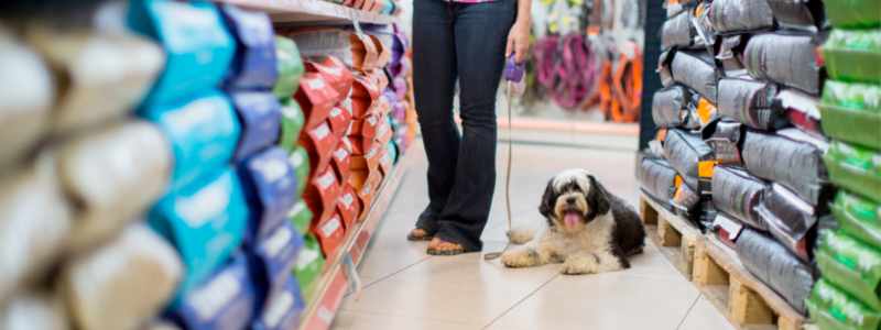 pet shop guaruja